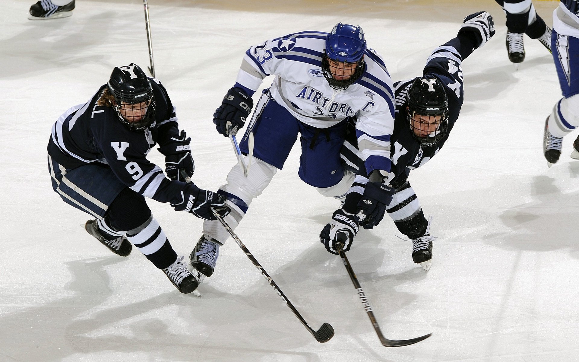 裁判标准升级：不断完善规则，确保比赛公平公正，裁判标准统一